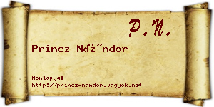 Princz Nándor névjegykártya